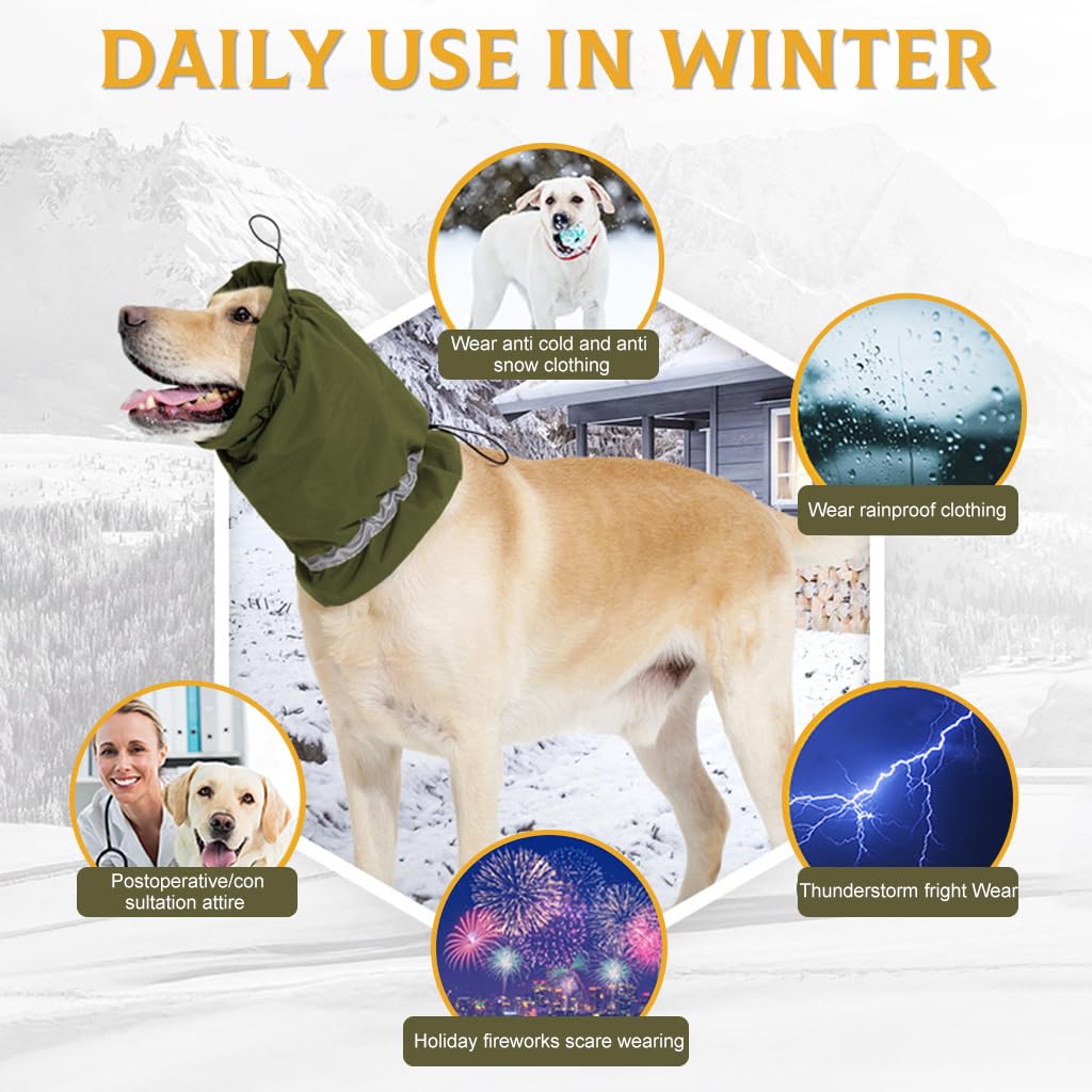 Qpets Pets Comforting Hoodie Ear Muff for Dog Warm Plush Lining Comforting Wrap Outdoor Winter Ear Muff with Reflective Strip Stretchy Adjustable Ear Snood for Dog, Green/L Qpets Pets Comforting Hoodie Ear Muff for Dog Warm Plush Lining Comforting Wrap Outdoor Winter Ear Muff with Reflective Strip Stretchy Adjustable Ear Snood for Dog, Green/L